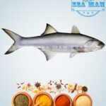 Indian-Salmon-fish-1